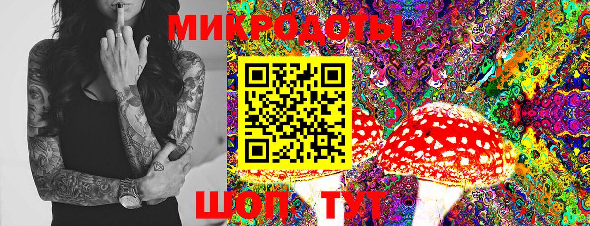 Кольчугино  Галлюциногенные грибы мицелий  Вход с VPN 