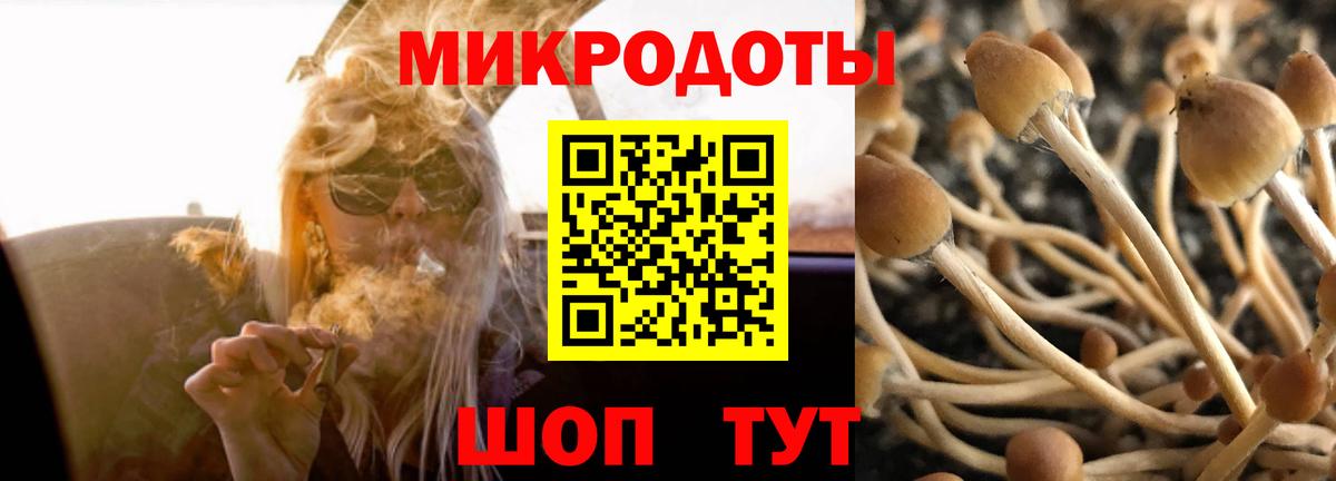 Псилоцибиновые грибы прущие грибы Кольчугино